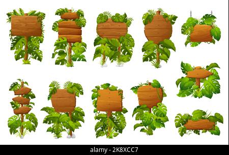 Panneaux et panneaux en bois avec feuilles de jungle tropicale monstère, panneaux vectoriels. Bande dessinée flèche et panneaux en bois dans la jungle liana ou lierre cadres de vigne, entrée ou direction panneaux en bois Illustration de Vecteur