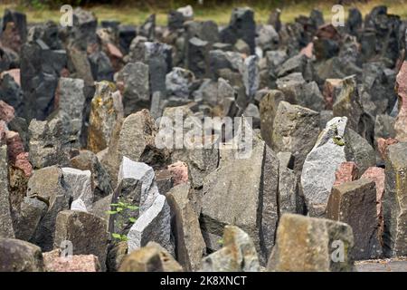 Une vue en grand angle des pierres dans l'enterrement des victimes de la terreur nazie dans la forêt de Bikernieki Banque D'Images