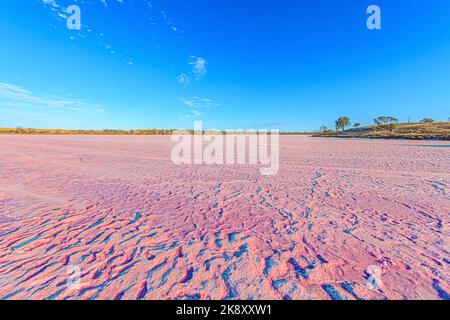 Photo de la surface rose du lac Crosbie dans le parc national Murray-Sunset d'Australie méridionale pendant la journée Banque D'Images