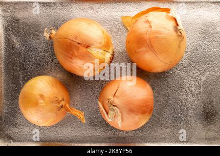 Quatre oignons biologiques mûrs, gros plan, sur un plateau en métal, vue du dessus. Banque D'Images