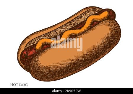 Collection d'illustrations vectorielles dessinées à la main de Carnival Food. Hot dog coloré. Illustration de Vecteur