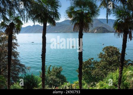 Lac de Côme Italie, vue en été depuis les collines au-dessus de la ville pittoresque de Varenna de bateaux naviguant sur le lac de Côme, Lombardie, Italie Banque D'Images