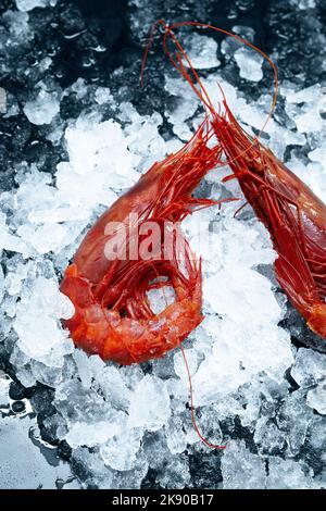 Un cliché vertical de crevettes rouges fraîches crues sur la glace sur un marché Banque D'Images