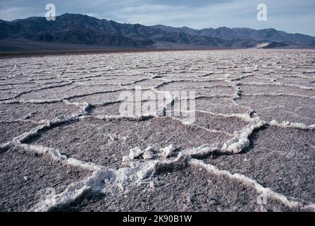 ÉTATS-UNIS. Californie. Vallée de la mort. Les réservoirs de sel du bassin de Badwater. Banque D'Images