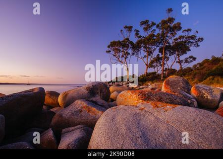 Le lichen couvrait des rochers au coucher du soleil dans la baie des feux à Binalong Bay, en Australie Banque D'Images