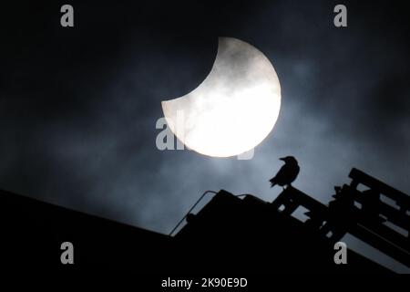 Bruxelles, Belgique. 25th octobre 2022. Une éclipse solaire partielle est photographiée au Parc du cinquantième anniversaire de Bruxelles, Belgique, le 25 octobre 2022. Credit: Zheng Huansong/Xinhua/Alay Live News Banque D'Images