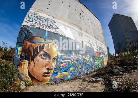 Stambridge Mill, Derelict Corn Mill, Stambridge, Rochford, Essex © Clarissa Debenham / Alay Banque D'Images