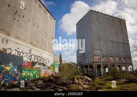 Stambridge Mill, Derelict Corn Mill, Stambridge, Rochford, Essex © Clarissa Debenham / Alay Banque D'Images