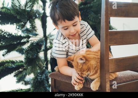 Beau garçon caucasien caressant son chat assis sur une chaise en bois en prévision du nouvel an. Bonheur de famille. Le garçon caresse son chaton. Noël Banque D'Images