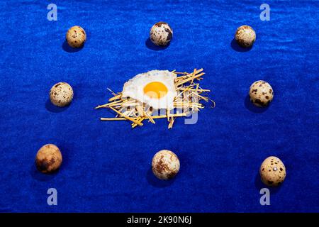 Photographie d'art pop. Composition avec caille et œufs de poulet sur nappe bleu vif. Style rétro, minimalisme coloré, art, créativité Banque D'Images