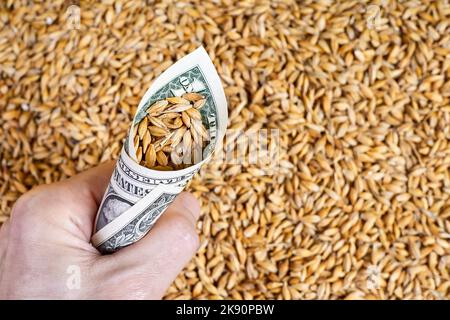 Homme tenant dans sa main Un billet d'un dollar roulé avec des grains d'orge arrosé dans lui sur un fond de grains Banque D'Images