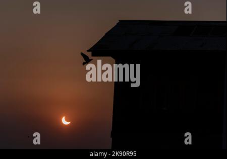 éclipse solaire partielle visible à partir de Srinagar. Une éclipse solaire partielle visible sur plusieurs régions d'Europe, du Moyen-Orient, du nord-est de l'Afrique, de l'Asie occidentale, de l'océan Atlantique Nord et de l'océan Indien Nord le 25 octobre. À l'exception des quelques États de la région nord-est, la plupart des États indiens seront en mesure d'assister aux éclipses solaires. Banque D'Images