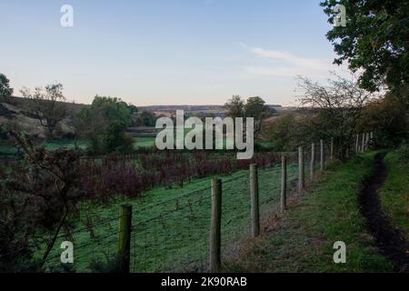 Vue sur Witton Valley en automne Banque D'Images