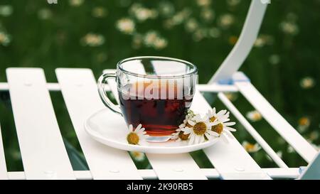 Gros plan, décélération. Sur une soucoupe blanche, décorée de pâquerettes, il y a une tasse de verre avec du thé. Le lait y est versé. En arrière-plan il y a un pré vert, camomille. Photo de haute qualité Banque D'Images