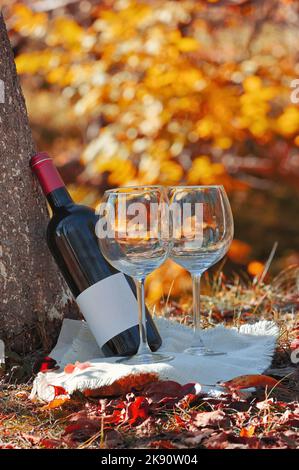 Bouteille de vin rouge sec et verres. Lumière du soleil en forêt. Banque D'Images