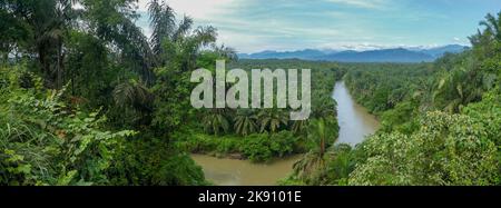 Paysage panoramique sur la rivière et la plantation de palmiers à huile avec les montagnes du parc national de Gunung Leuser en arrière-plan, au nord de Sumatra, en Indonésie Banque D'Images