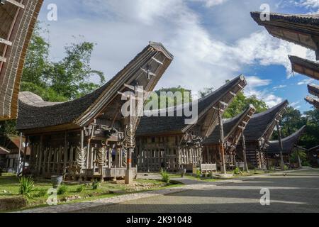 Rangée pittoresque de tongkonan ou maisons traditionnelles dans la rue du village de Kete Kesu, près de Rantepao, Tana Toraja, Sulawesi Sud, Indonésie Banque D'Images