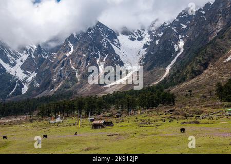 Les belles montagnes de la vallée de Yumesamdong avec des nuages moelleux Banque D'Images