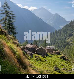 Les anciens chalets dans la lumière du matin - vallée de la Valsie - Italie. Banque D'Images