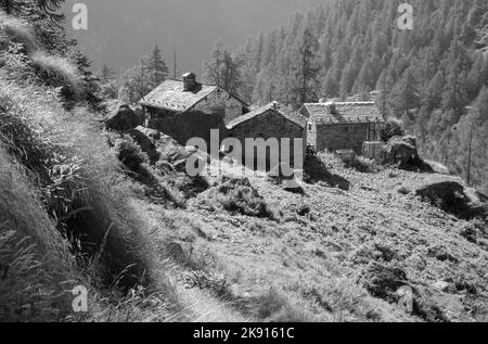 Les anciens chalets dans la lumière du matin - vallée de la Valsie - Italie. Banque D'Images