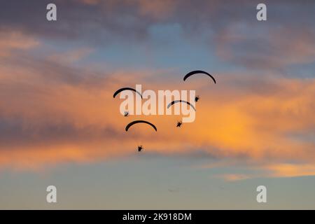 Quatre parapentes propulsés volent en formation au coucher du soleil près de Hanksville, Utah. Banque D'Images