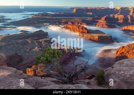 Une inversion de température en hiver produit un brouillard rare dans les canyons au-dessous du parc national Dead Horse point, à Moab, Utah. Banque D'Images