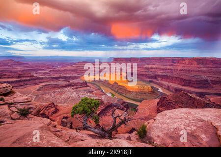 Le col de l'OIE du fleuve Colorado et le parc national de Canyonlands, vus du parc national Dead Horse point, Moab, Utah. En face se trouve un ancien Utah Ju Banque D'Images