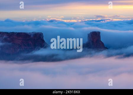 Une inversion de température en hiver produit un brouillard rare dans les canyons au-dessous du parc national Dead Horse point, à Moab, Utah. Banque D'Images