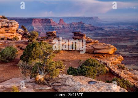 Vue vers le sud depuis le parc national Dead Horse point vers Hatch point et les montagnes Abajo dans le sud-est de l'Utah. À gauche se trouve le Canyon Rils Recreation A Banque D'Images