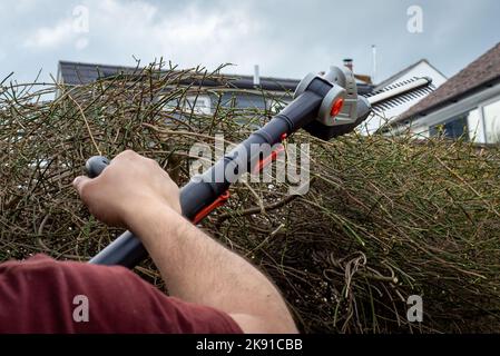 Bras de l'homme tenant des taille-haies alimentés par batterie pour couper les branches et les feuilles de la haie surcultivée. Banque D'Images