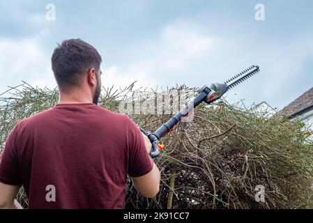 Jardinier mâle utilisant de longs taille-haies pour couper les branches surcultivées de la haie dans le jardin arrière. Banque D'Images