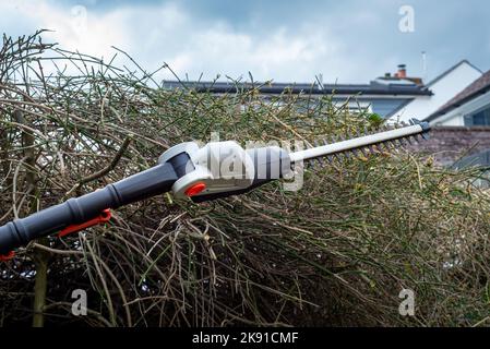 Gros plan des cisailles à haies à batterie avec lames tranchantes devant la haie dans le jardin. Banque D'Images