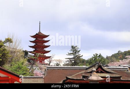 Goju-no-to (pagode pagode Gojunoto, pagode de cinq étages) d'Itsukushima, sacrée l'île de Miyajima, Japon Banque D'Images