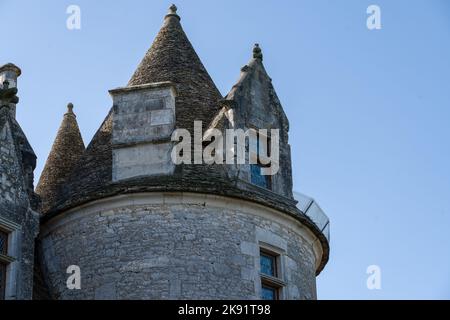 Un hibou de grange (Tyto alba) perché sur un poteau en bois, ciel bleu clair Banque D'Images