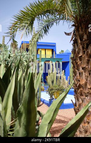 Jardin Majorelle Yve Saint Laurent Pierre Berge Bergé Marrakech Maroc Banque D'Images