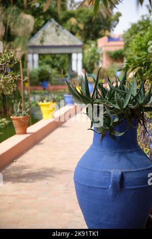 Jardin Majorelle Yve Saint Laurent Pierre Berge Bergé Marrakech Maroc Banque D'Images