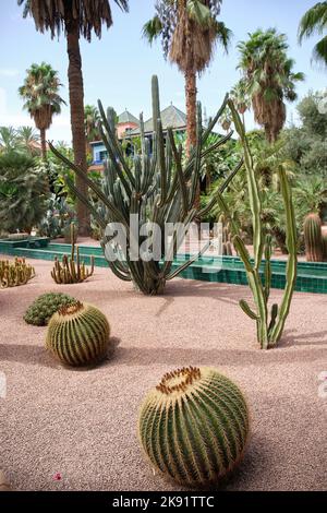 Jardin Majorelle Yve Saint Laurent Pierre Berge Bergé Marrakech Maroc Banque D'Images