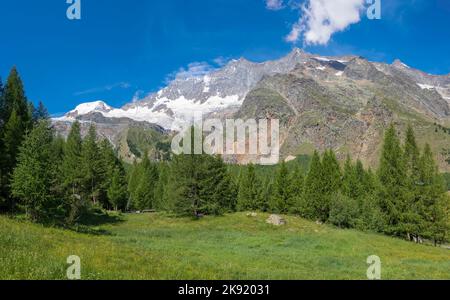 Les pics Alphubel, Taschhorn Dom et Lenzspitze au-dessus des frais SAS. Banque D'Images