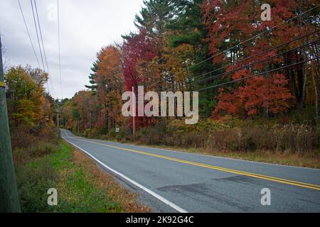 Les couleurs des feuillages d'automne sont à leur apogée dans les montagnes Pocono à Dingman, Pennsylvanie-03 Banque D'Images