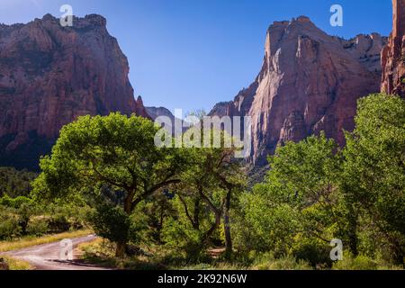 Parc national de Zion, paysage spectaculaire, Utah, États-Unis Banque D'Images