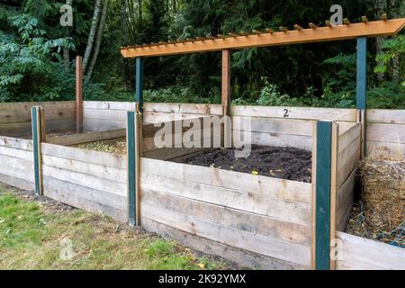 Port Townsend, Washington, États-Unis. Bacs à compost en bois pour différentes étapes de décomposition, dans un jardin communautaire Banque D'Images