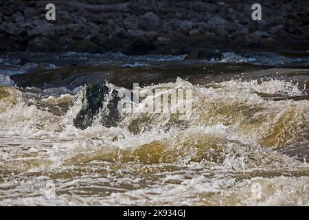 L'eau qui se précipite au-dessus d'un grand rocher dans la rivière Cedar, un jour d'automne dans l'Iowa. Banque D'Images