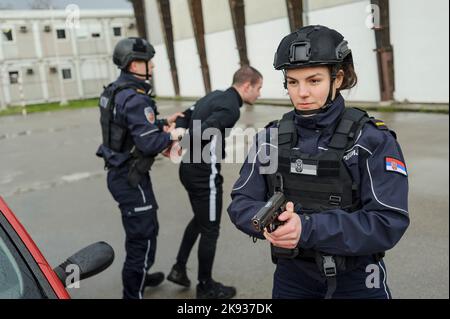 Les élèves-élèves de l'académie de police serbe s'entraînent dans les tactiques de police de base / d'application de la loi en utilisant des armes de poing et en arrêtant un suspect Banque D'Images