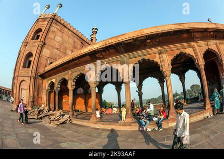 DELHI, INDE - 8 NOVEMBRE 2011 : un groupe d'adorateurs se trouvent sur la cour de la mosquée Jama Masjid à Delhi, Inde. JAMA Masjid est la principale mosqu Banque D'Images