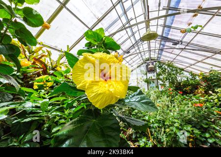 THEODORE, Etats-Unis - 18 JUILLET 2013: Visitez les jardins de Bellingraths et la maison verte à Theodore, Etats-Unis. Le jardin a été construit en 1917 par Walter Bellingrath. Banque D'Images