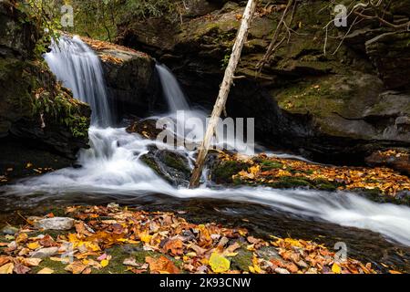 Cascade sur Catheys Creek en automne - Pisgah National Forest, près de Brevard, Caroline du Nord, Etats-Unis Banque D'Images