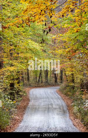 Route de campagne à travers le feuillage d'automne dynamique dans la forêt nationale de Pisgah, Brevard, Caroline du Nord, États-Unis Banque D'Images