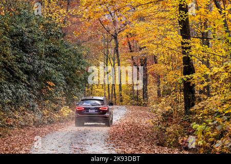 Automobile conduite sur route de terre à travers le feuillage d'automne dynamique dans la forêt nationale de Pisgah, Brevard, Caroline du Nord, États-Unis Banque D'Images