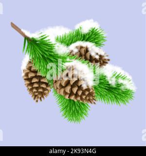 PIN vert congelé Branche dans la neige avec trois pins Cones. Élément design pour cartes de Noël sur fond violet Illustration de Vecteur