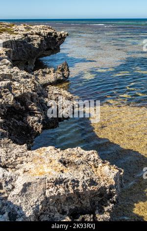 Rochers à Turtle Bay, East Wallabi, Houtman Abrolhos Islands, WA, Australie Banque D'Images